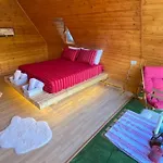 Bujtina Miqesia 3*