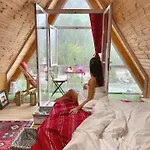 Bujtina Miqesia 3*