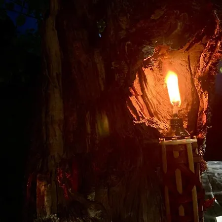 Bujtina Miqesia 3* Theth