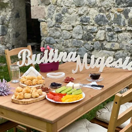 Bed & Breakfast Bujtina Miqesia *