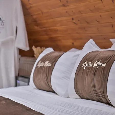 Bed & Breakfast Bujtina Miqesia