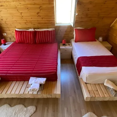 Bujtina Miqesia 3*
