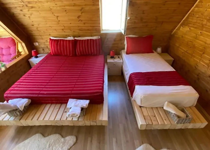 Bujtina Miqesia 3*